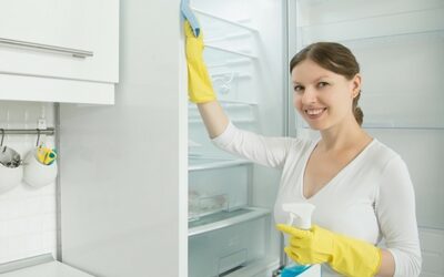 Quels produits de nettoyage pour un frigo