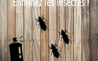Eliminer les insectes rampants et volants