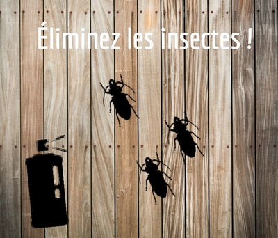 Eliminer les insectes rampants et volants